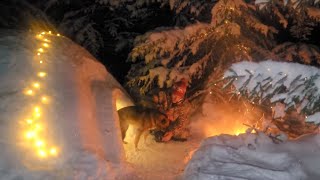 Needle Survival Shelter - Merry Christmas 🎄 Happy New Year 2024 - Bushcraft Skills - ASMR - No Talk