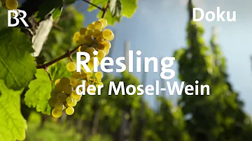 Was ist das größte Weingut in Deutschland?