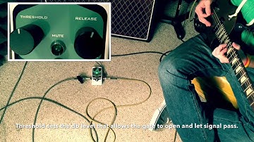 Guitar effects Electro Harmonix Hum Debugger and Pigtronix Gate Keeper, clean pedal comparison