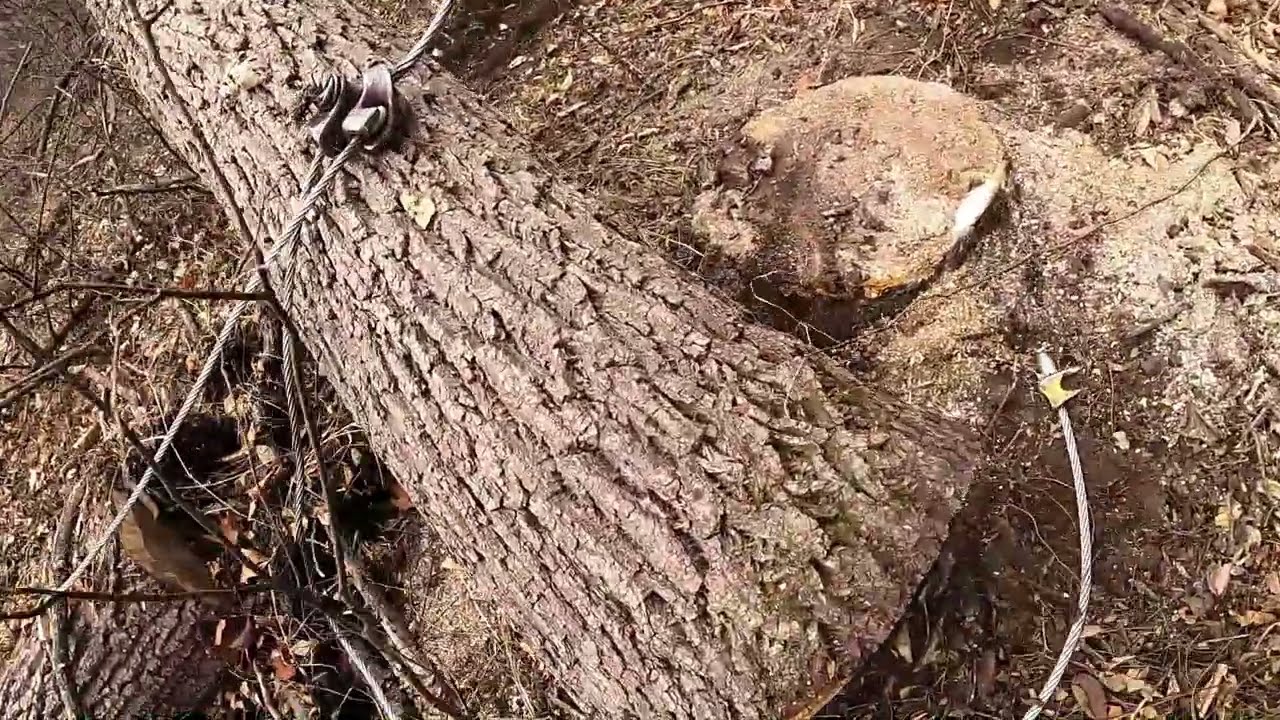 Время использовать лебедку для лесовоза! Как работают стропила и полозья.