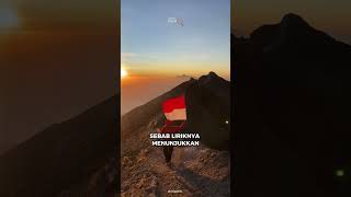 Students In North Korea Sing Indonesian National Anthem shorts