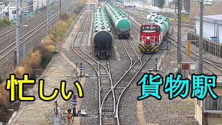 貨物が主役の南松本駅【内陸の輸送拠点】Freight trains of Minami-Matsumoto station