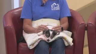 Wayne's Appliance Giveback Project