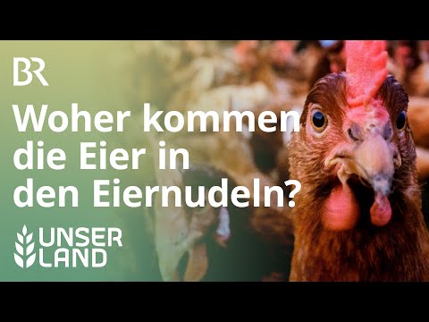 Video: Müssen frische Eier vom Bauernhof gereinigt werden?