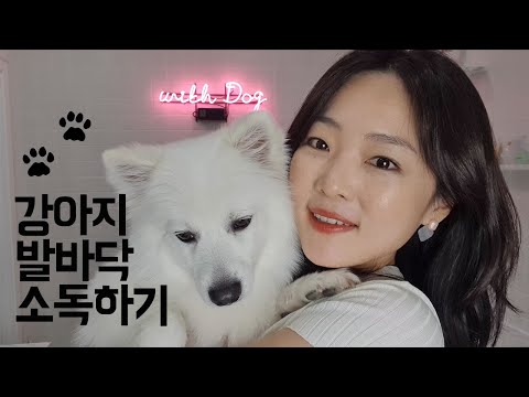 #집에서함께해요 강아지 발바닥 세정 아로마 스프레이 만들기 - 산책 후 살균 소독하기 Dog Paw Spray DIY