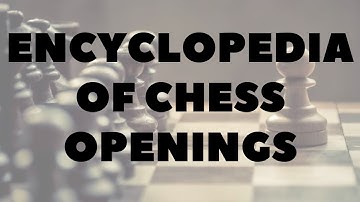 Encyclopedia of Chess Openings Vol 1 – GM Roman Dzindzi