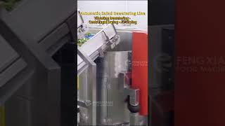 Salad Line Dewatering: Drainer-Centrifuge-Dryer #machinery #foodtech  #industrial   #vegetables