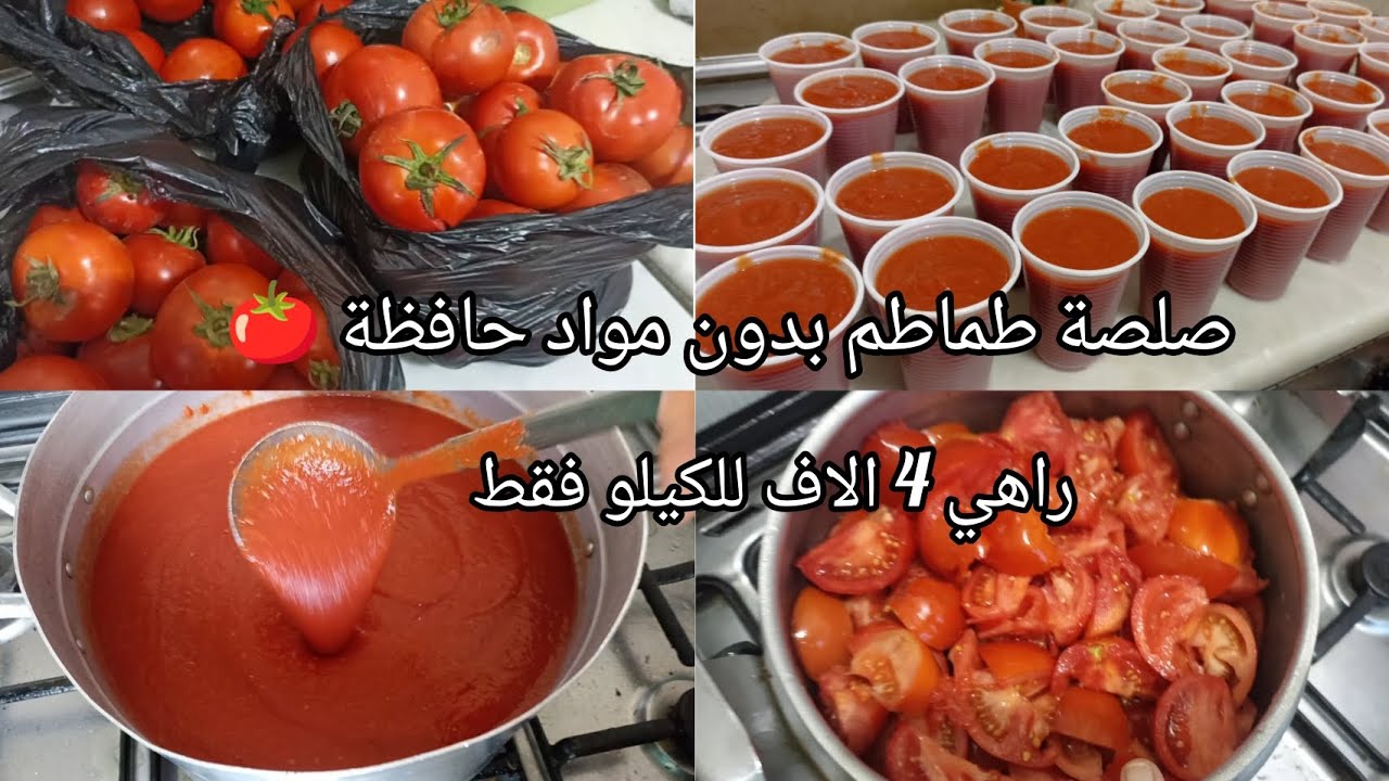 ألذ صلصلة طماطم 🍅راح تحضريها وتجمديها لرمضان2026🌙 طبيعية 💯 وبدون مواد حافظة #رمضان #طبخ #صلصة_طماطم
