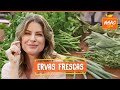 COMO CONSERVAR E GUARDAR ERVAS FRESCAS | Rita Lobo | Cozinha Prática