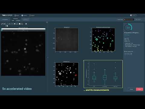 INSCOPER Python Scripting for Smart Acquisition