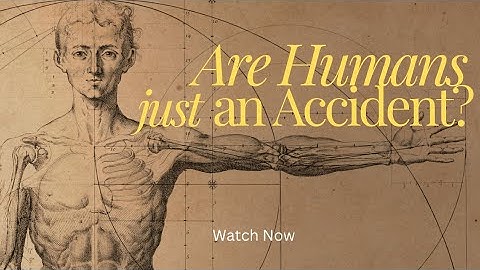 Are Humans Really Just An Accident? What the Bible Really Says Will Shock You!