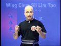 Wing Chun Sil Lim Tao From Part 2