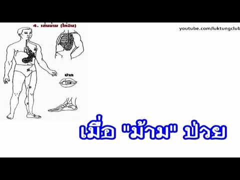 เมื่อม้ามป่วย [mcmHealth] | สังเคราะห์ข้อมูลเกี่ยวกับอาหาร บำรุง ม้ามได้แม่นยำที่สุด