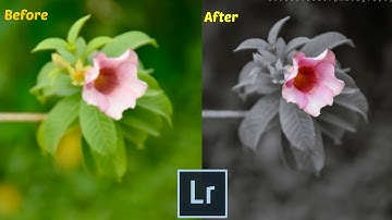 Selective Coloring in Lightroom📷(LR5)