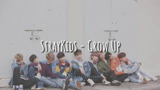 Stray Kids - Grow Up '잘 하고 있어' (Indo Lyrics)