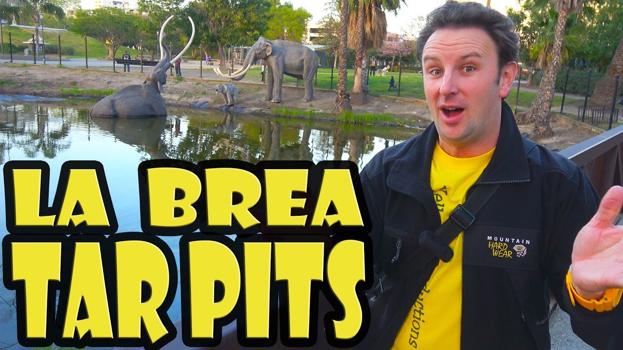 ⁣La Brea Tar Pits Travel Guide