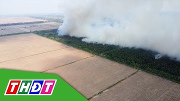 Cháy lớn 40ha rừng sản xuất ở Cà Mau | THDT