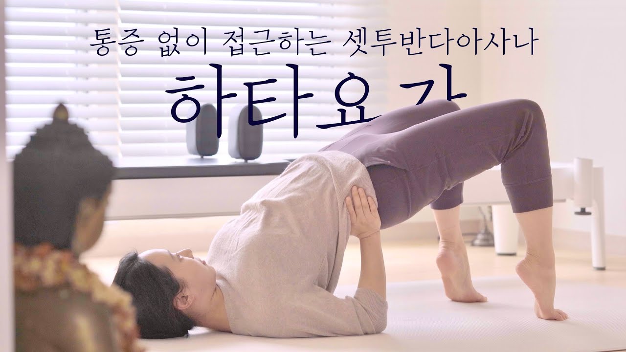 무릎이 안 아픈 세투반다 아사나 접근 • 쉬운 하타요가