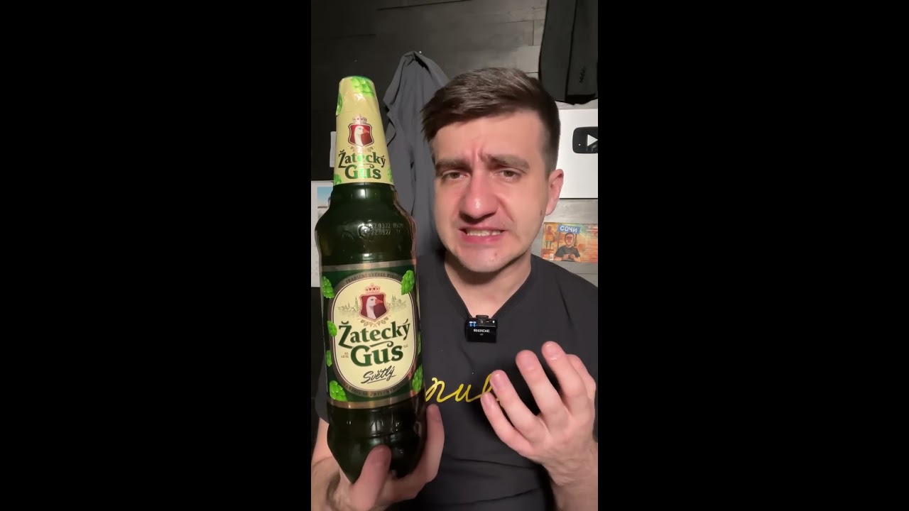 Пиво Жатецкий Гусь Фото