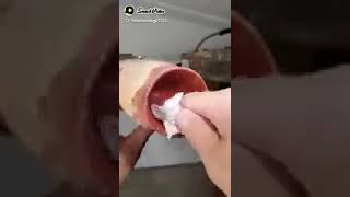 New video shorts ticktok snakevideo