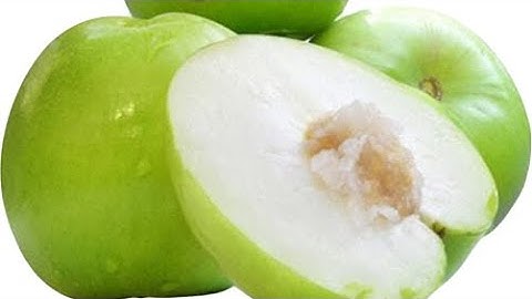 Đầu tư trồng cây táo Đại Mật hiệu quả lâu dài