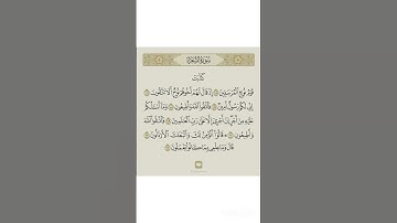 سورة الشعراء Ash-Shu‘ara’ is the 26th chapter of the Qurʾan with 227 verses. Many of