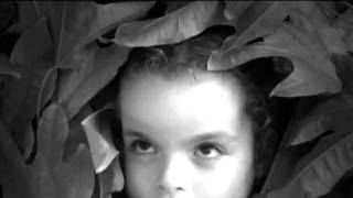 Vaal - Seahnak Life And Death