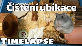 Čištění křeččí ubikace| TIMELAPSE