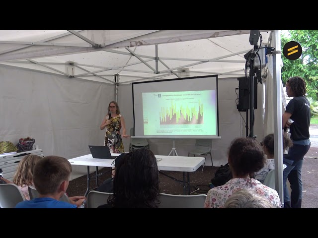 [Vidéo] Météo France décrypte le rapport du Giec pour la Réunion