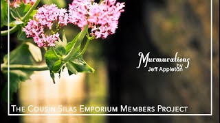 Jeff Appleton - Murmuration