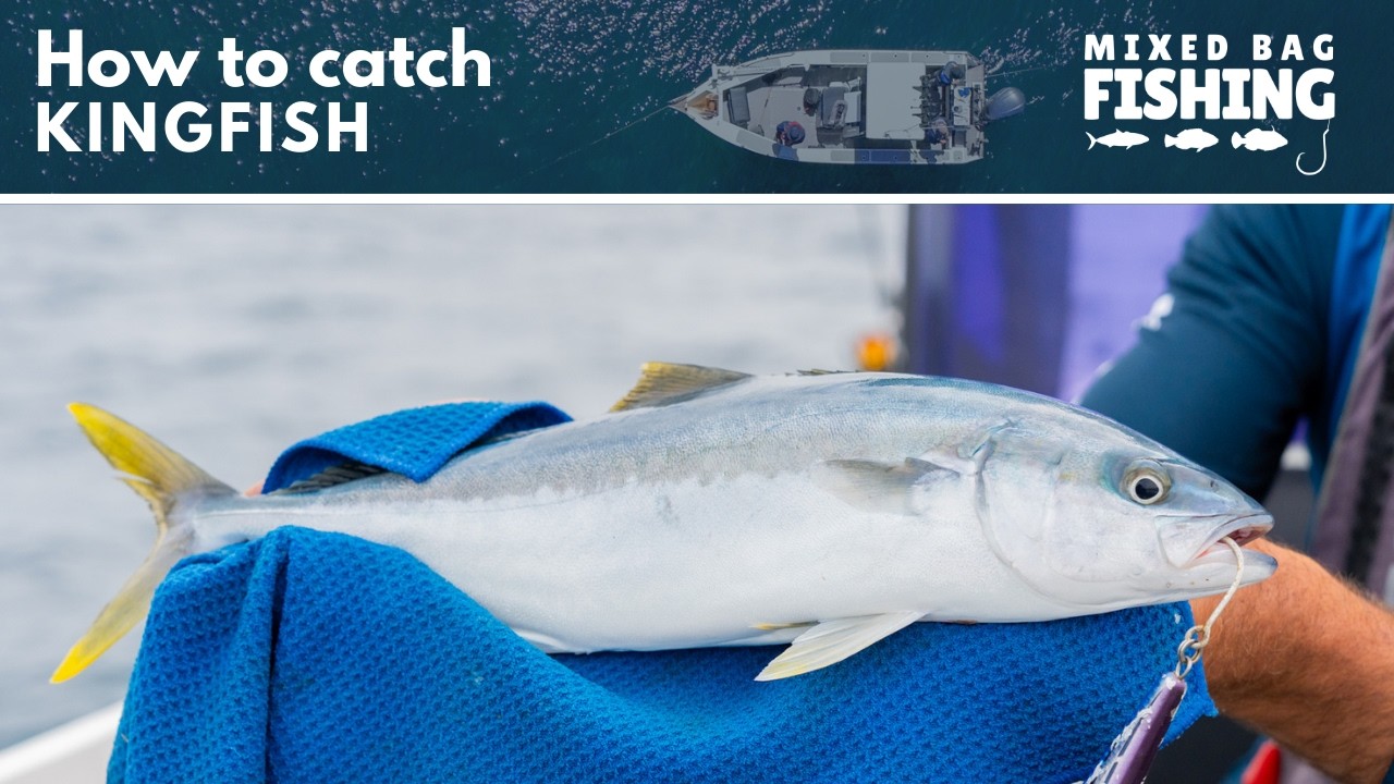 Catching Kingfish - Expert Tips