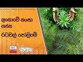 ලංකාවේ|sin