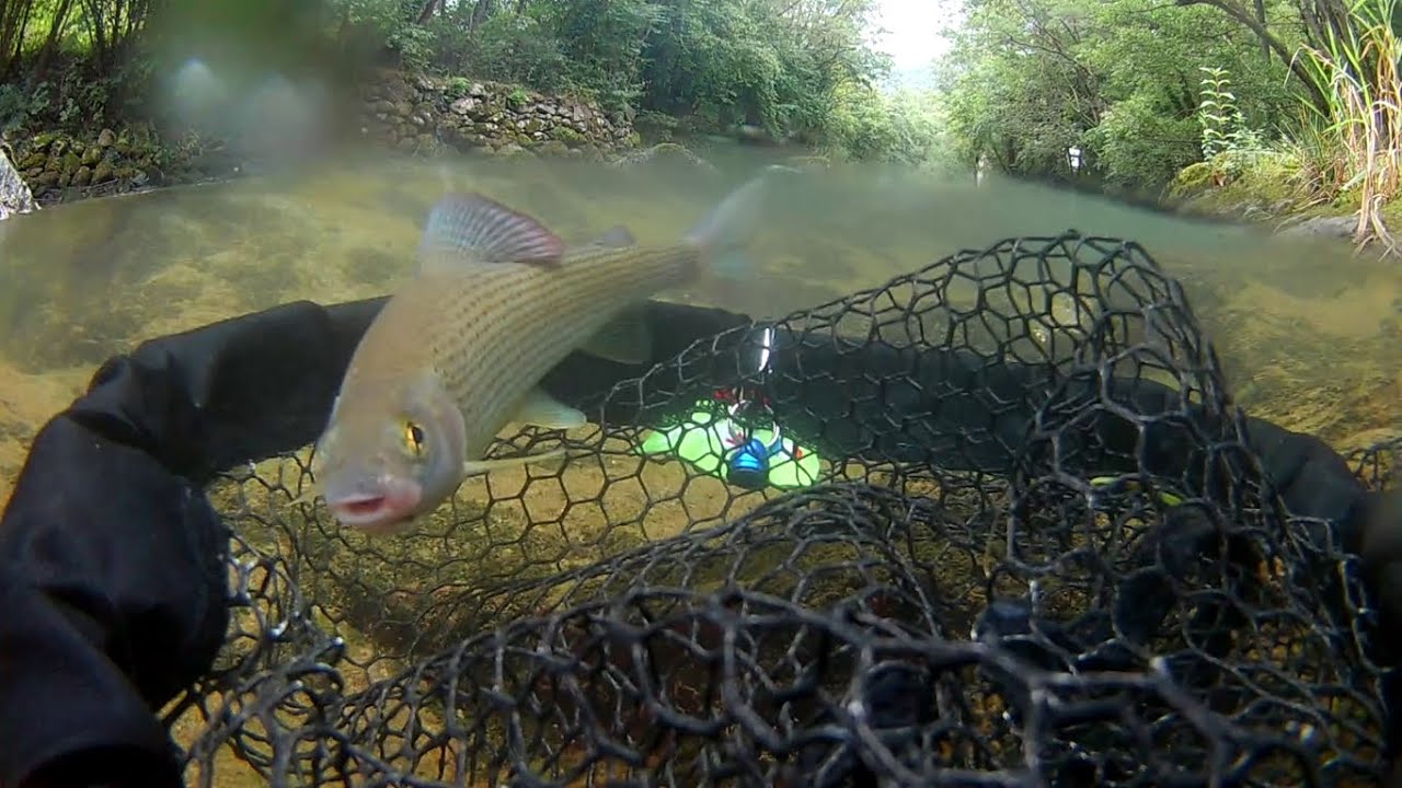 Fermeture truite 2021 épisode3(grosse activité)