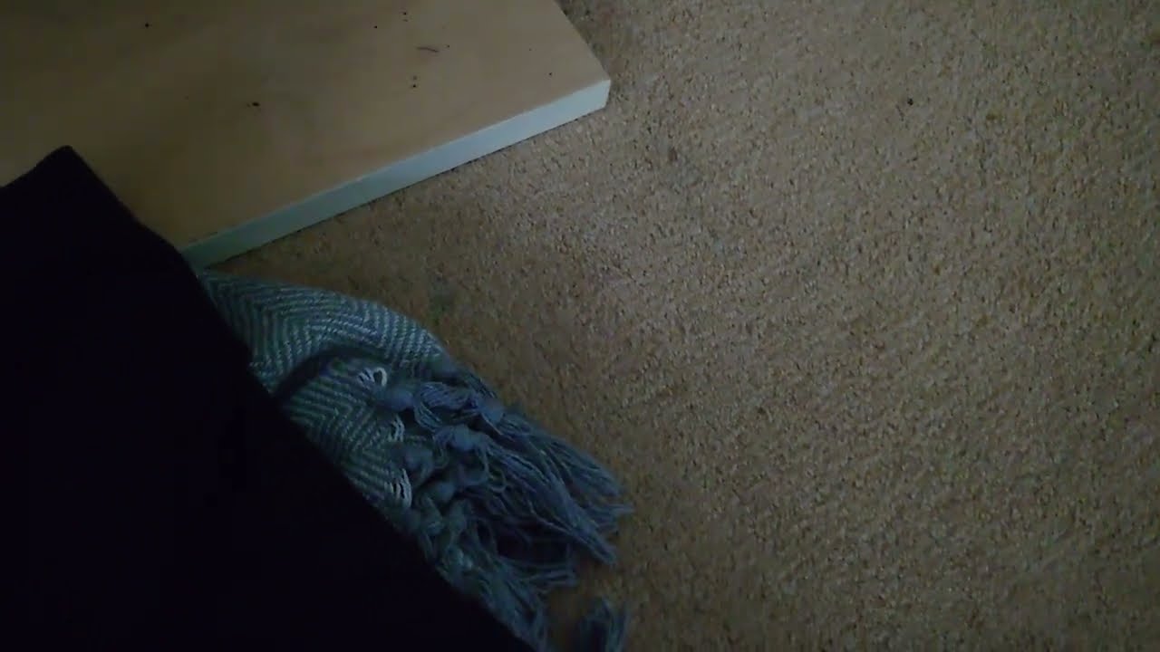 GREAT TIP TO REMOVE SOOT FROM YOUR CARPET.🎩🎩