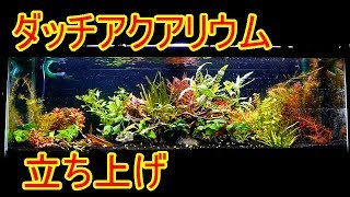水槽232】ダッチ・アクアリウム③ 立ち上げ！【tank232】Dutch