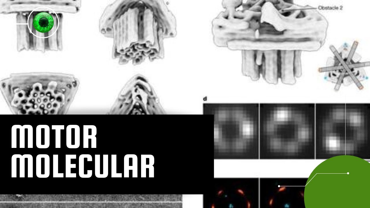 Cientistas criam 1º motor elétrico molecular usando material de DNA