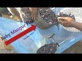 Hybrid Mangur Fish Business in India