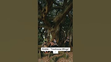 Thumbnail of @ambleofficial - ‘TreeHouse Wings’ out Friday!  #amble #folksong #music #singer