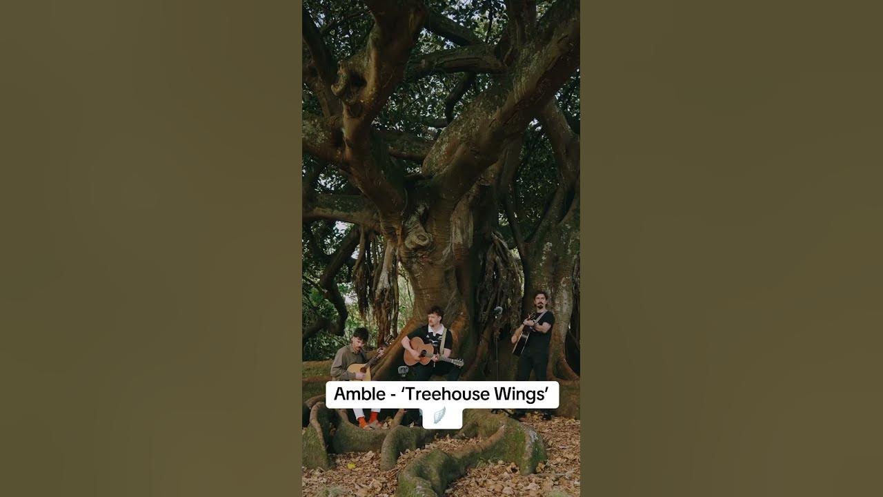 @ambleofficial - ‘TreeHouse Wings’ out Friday!  #amble #folksong #music #singer