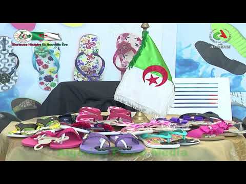 L Industrie En Algérie Made In Algéria Matières Première Production Exportation