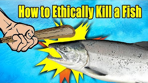 How to Ethically Kill a Fish -  How and Why to Bleed a Fish