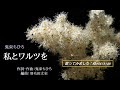 【歌ってみました】『私とワルツを』鬼束ちひろ / 作詞・作曲:鬼束ちひろ /編曲:羽毛田丈史
