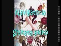 Navigatoria - Shikata Akiko Sub espa&ntilde;ol