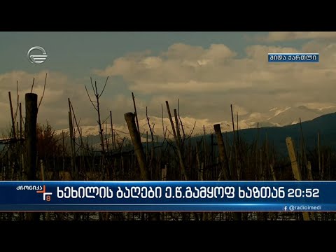 ხეხილის ბაღები ე.წ.  გამყოფ ხაზთან