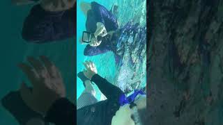 IMG 9294
