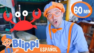 Aprende sobre Animales Acuáticos con Blippi | Aprende con Blippi | Videos educativos para niños