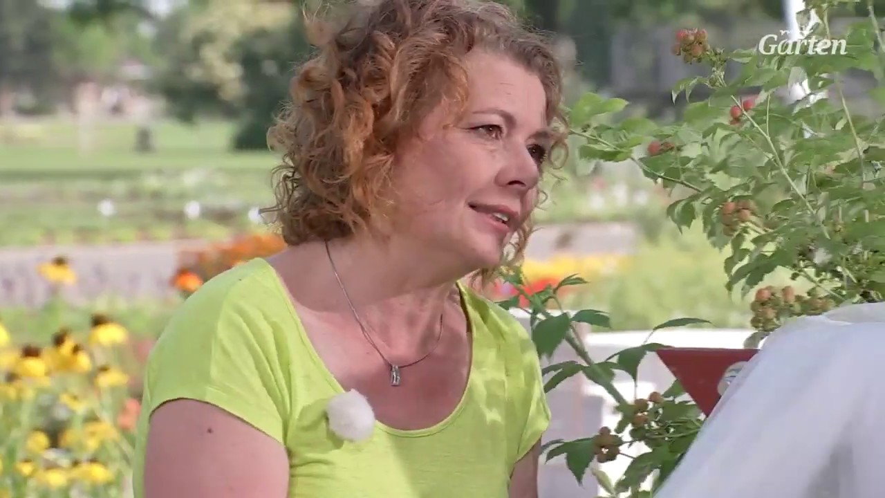 Pflanzen Giessen Und Vor Hitze Schutzen Mdr Garten Youtube