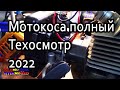 Мотокоса полный Техосмотр 2022 Александр Токарев