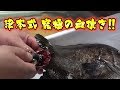 【究極の血抜き津本式】魚をさらに美味しくさせる技術を手に入れました！！