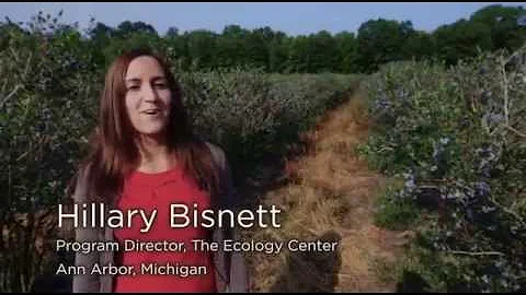 Cultivate Michigan Tour - Blueberries with Barbara...